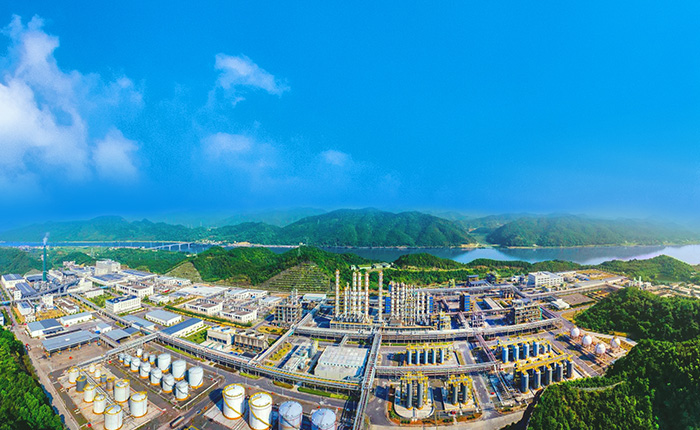 Be a global leader in silicon, phosphorus-based  new materials  and crop protection solutions.