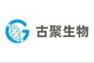 KU酷游官网-不凡成就非凡,相信品牌力量